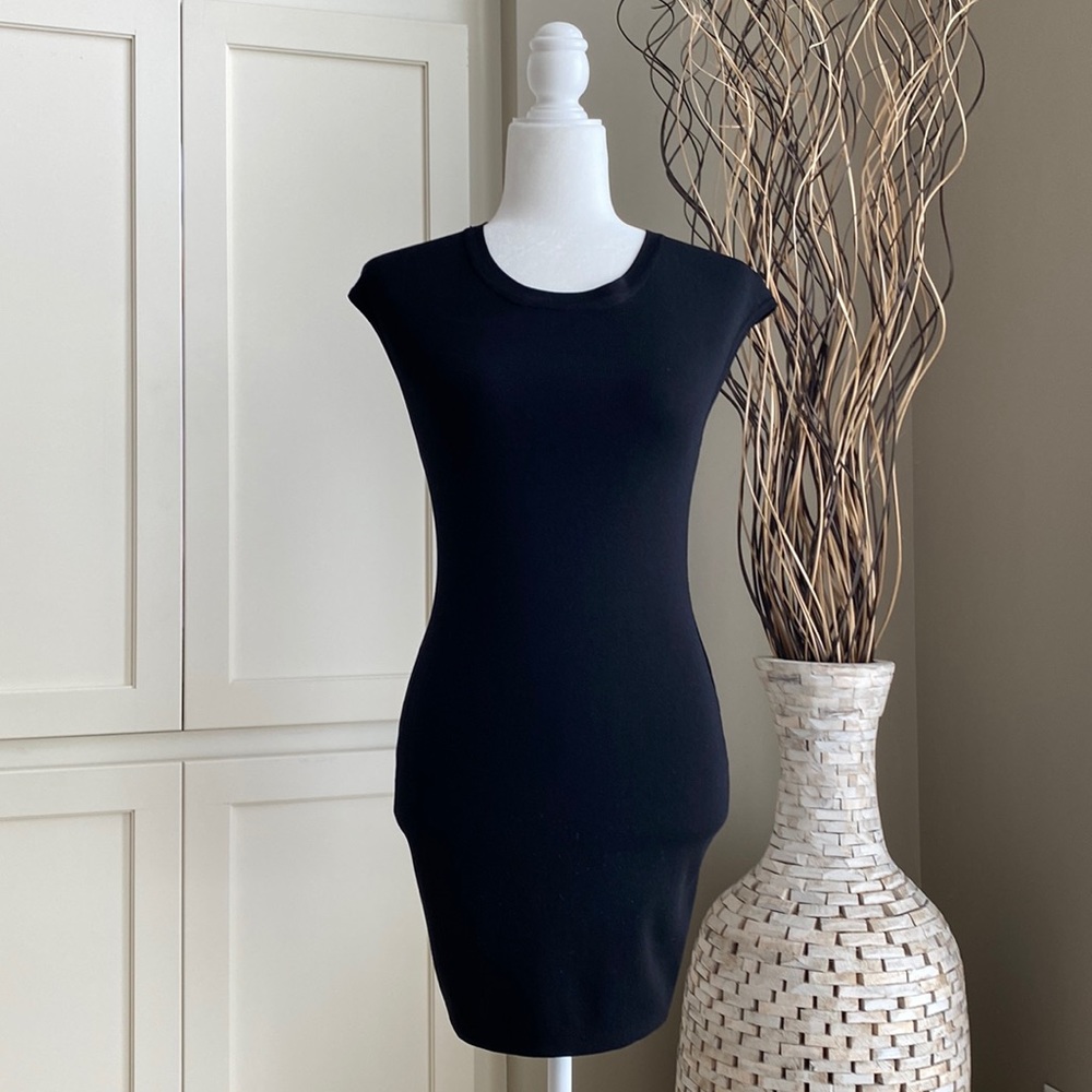 Form-Fitting Pookie & Sebastian Dress